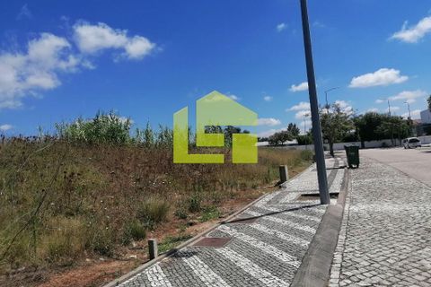 Terra a Condeixa-a-Nova, Coimbra, Condeixa-a-Nova - € 60.000 | Ref: LT1227 - foto 18
