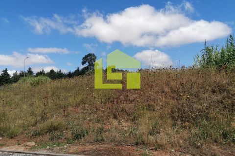 Terra a Condeixa-a-Nova, Coimbra, Condeixa-a-Nova - € 60.000 | Ref: LT1227 - foto 19