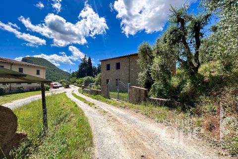 Villa i Volterra, Pisa, Volterra - € 280.000 | Ref: 18556 - foto 10