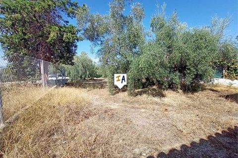 Cortijo i Cabra, Cordoba, Cabra - € 45.900 | Ref: CJ829 - foto 11