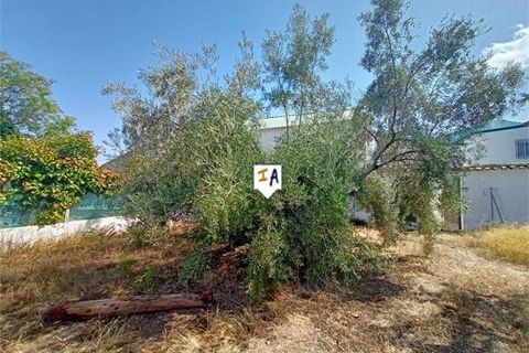 Cortijo i Cabra, Cordoba, Cabra - € 45.900 | Ref: CJ829 - foto 14