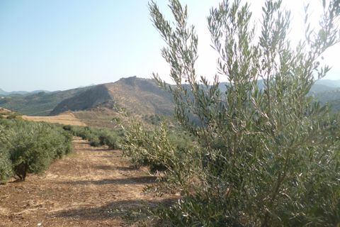 Helårsgrund i Olvera, Cadiz, Olvera - € 95.000 | Ref: am148 - foto 4