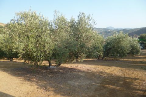 Helårsgrund i Olvera, Cadiz, Olvera - € 95.000 | Ref: am148 - foto 2