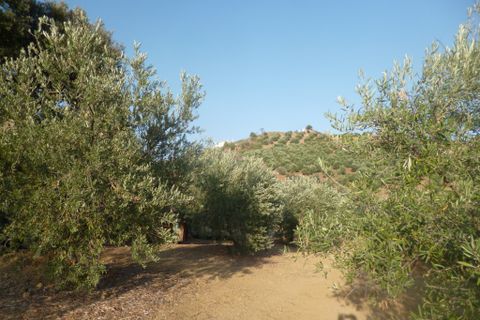 Helårsgrund i Olvera, Cadiz, Olvera - € 95.000 | Ref: am148 - foto 5