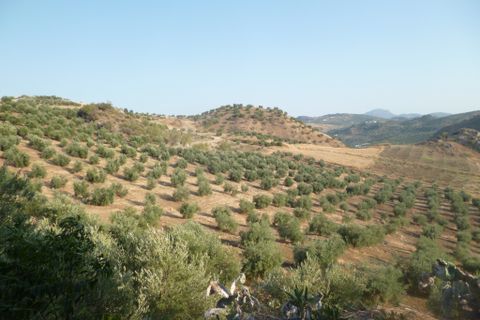 Helårsgrund i Olvera, Cadiz, Olvera - € 95.000 | Ref: am148 - foto 7
