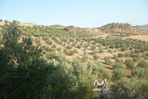 Helårsgrund i Olvera, Cadiz, Olvera - € 95.000 | Ref: am148 - foto 12