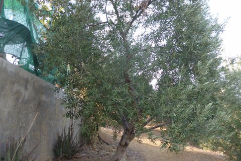 Helårsgrund i Olvera, Cadiz, Olvera - € 95.000 | Ref: am148 - foto 9