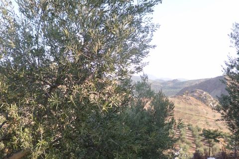 Helårsgrund i Olvera, Cadiz, Olvera - € 95.000 | Ref: am148 - foto 10