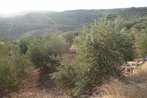 Helårsgrund i Olvera, Cadiz, Olvera - € 95.000 | Ref: am148 - foto 15
