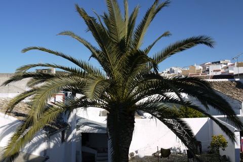 Byhus i Pruna, Sevilla, Pruna - € 150.000 | Ref: am126 - foto 24
