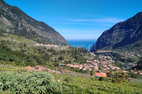 Helårsgrund i Sao Vincente, Madeira, Sao Vincente - € 38.000 | Ref: 081240196 - foto 1