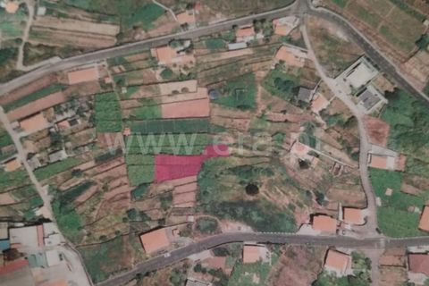 Helårsgrund i Sao Vincente, Madeira, Sao Vincente - € 38.000 | Ref: 081240196 - foto 3