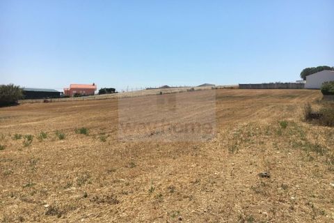 Helårsgrund i Ericeira, Lisbon, Ericeira - € 1.200.000 | Ref: FI53 - foto 8
