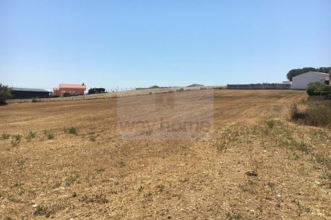 Helårsgrund i Ericeira, Lisbon, Ericeira - € 1.200.000 | Ref: FI53 - foto 9