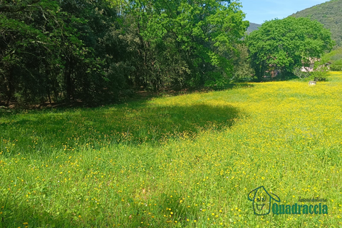 Villa i Amelia, Terni, Amelia - € 280.000 | Ref: 1--__ - foto 5
