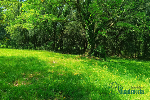Villa i Amelia, Terni, Amelia - € 280.000 | Ref: 1--__ - foto 11