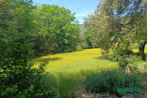 Villa i Amelia, Terni, Amelia - € 280.000 | Ref: 1--__ - foto 13