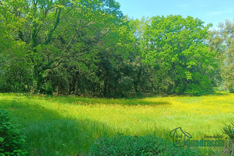 Villa i Amelia, Terni, Amelia - € 280.000 | Ref: 1--__ - foto 14