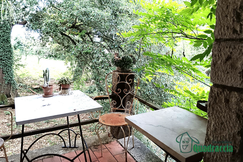 Villa i Amelia, Terni, Amelia - € 280.000 | Ref: 1--__ - foto 31
