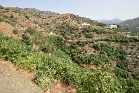 Tomt i Torrox, Malaga, Torrox - € 77 500 | Ref: TP136 - foto 2
