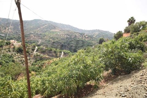 Tomt i Torrox, Malaga, Torrox - € 77 500 | Ref: TP136 - foto 5