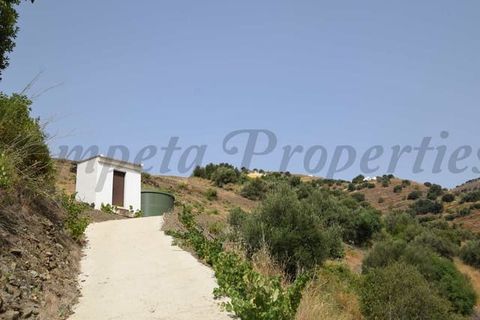 Tomt i Torrox, Malaga, Torrox - € 77 500 | Ref: TP136 - foto 7
