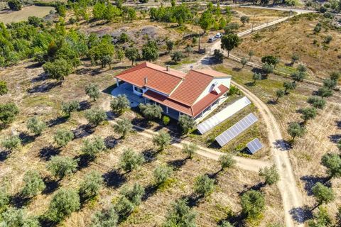 Farm i Castelo Branco, Castelo Branco, Castelo Branco - € 640.000 | Ref: 24031 - foto 5