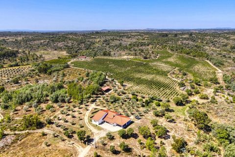 Farm i Castelo Branco, Castelo Branco, Castelo Branco - € 640.000 | Ref: 24031 - foto 9