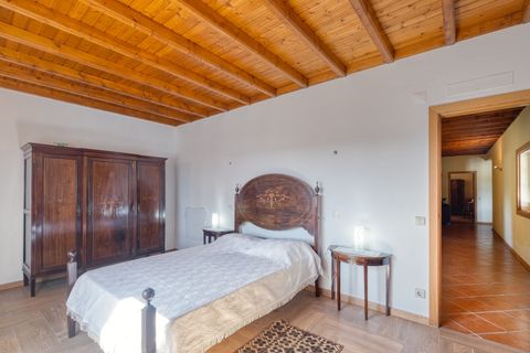 Farm i Castelo Branco, Castelo Branco, Castelo Branco - € 640.000 | Ref: 24031 - foto 18