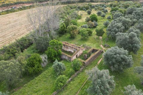 Villa i Almodovar, Beja, Almodovar - € 108.000 | Ref: C0369-00653 - foto 2