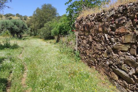 Villa i Almodovar, Beja, Almodovar - € 108.000 | Ref: C0369-00653 - foto 6