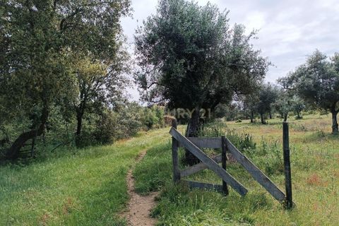 Villa i Almodovar, Beja, Almodovar - € 108.000 | Ref: C0369-00653 - foto 8