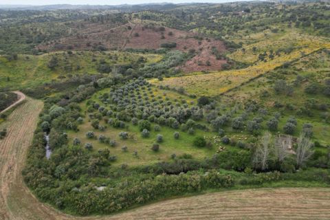 Villa i Almodovar, Beja, Almodovar - € 108.000 | Ref: C0369-00653 - foto 11