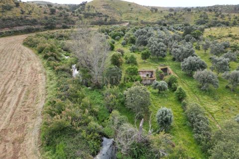 Villa i Almodovar, Beja, Almodovar - € 108.000 | Ref: C0369-00653 - foto 12
