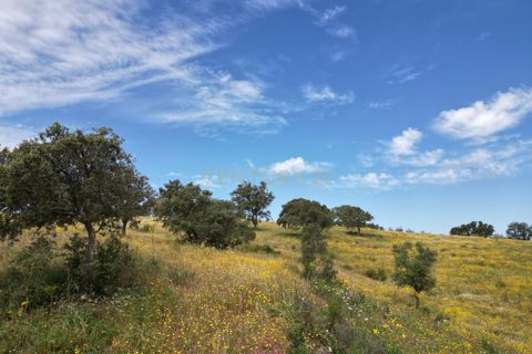 Villa i Almodovar, Beja, Almodovar - € 108.000 | Ref: C0369-00653 - foto 20