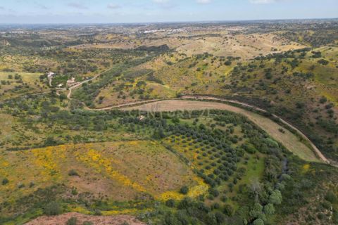 Villa i Almodovar, Beja, Almodovar - € 108.000 | Ref: C0369-00653 - foto 21