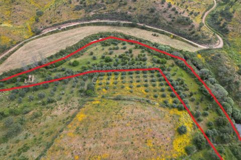 Villa i Almodovar, Beja, Almodovar - € 108.000 | Ref: C0369-00653 - foto 25