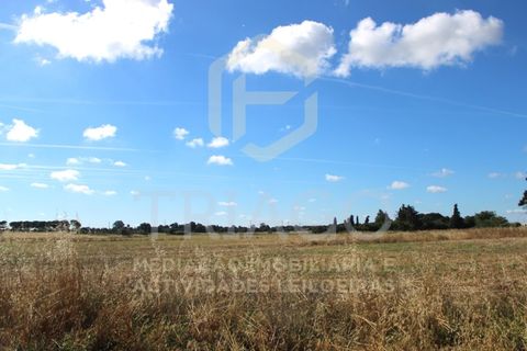 Helårsgrund i Benavente, Santarem, Benavente - € 550.000 | Ref: SÒL_733 - foto 2