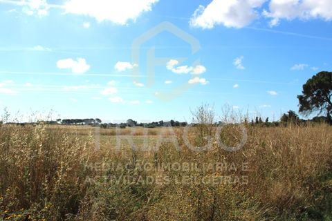 Helårsgrund i Benavente, Santarem, Benavente - € 550.000 | Ref: SÒL_733 - foto 3