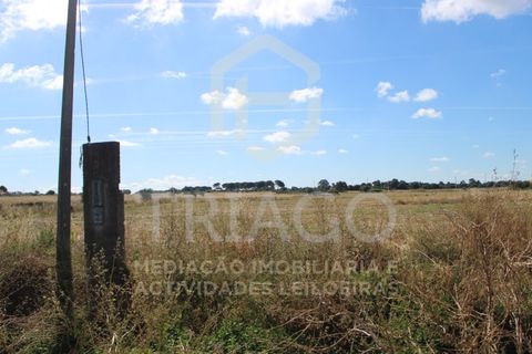 Helårsgrund i Benavente, Santarem, Benavente - € 550.000 | Ref: SÒL_733 - foto 4