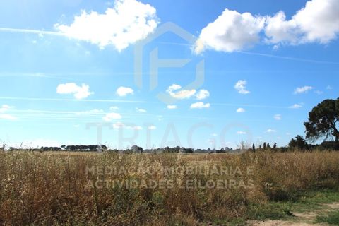 Helårsgrund i Benavente, Santarem, Benavente - € 550.000 | Ref: SÒL_733 - foto 5