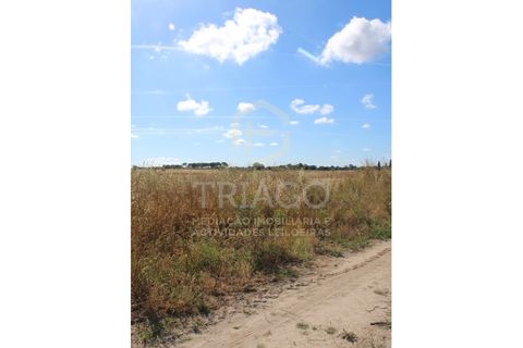 Helårsgrund i Benavente, Santarem, Benavente - € 550.000 | Ref: SÒL_733 - foto 6