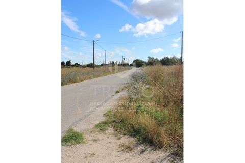 Helårsgrund i Benavente, Santarem, Benavente - € 550.000 | Ref: SÒL_733 - foto 7