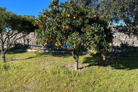 Terra a Alcains, Castelo Branco, Alcains - € 50.000 | Ref: 124045 - foto 4