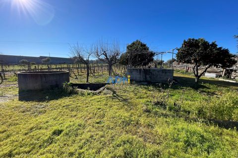 Terra a Alcains, Castelo Branco, Alcains - € 50.000 | Ref: 124045 - foto 5