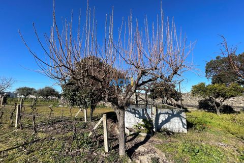 Terra a Alcains, Castelo Branco, Alcains - € 50.000 | Ref: 124045 - foto 7
