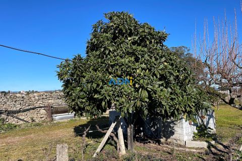 Terra a Alcains, Castelo Branco, Alcains - € 50.000 | Ref: 124045 - foto 8