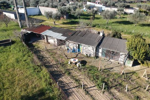 Terra a Alcains, Castelo Branco, Alcains - € 50.000 | Ref: 124045 - foto 12