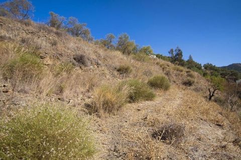 Terra a Competa, Malaga, Competa - € 56.000 | Ref: P138 - foto 4