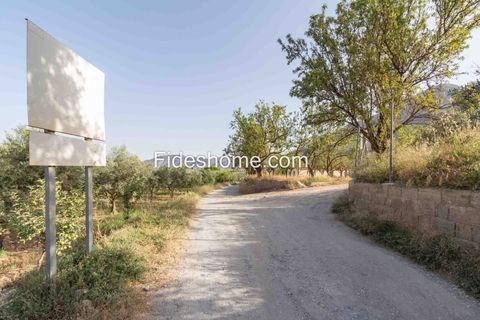 Helårsgrund i Niguelas, Granada - foto 1